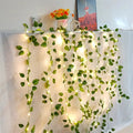 Leaf Vine Fairy Lights - Nova Shine